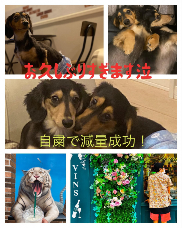 減量成功‼︎〜元気に営業頑張ってます〜