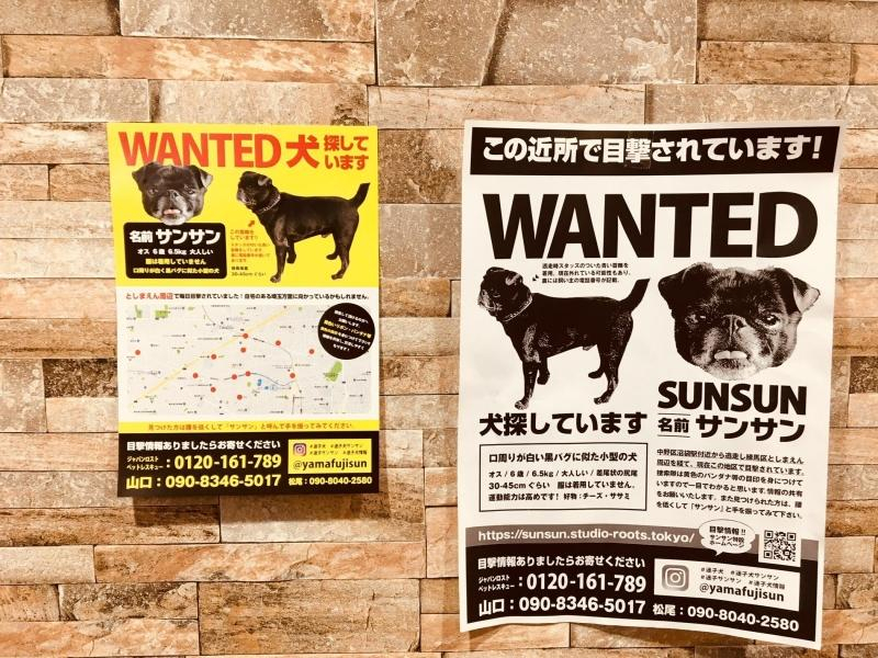 どなたか見かけた方は 店長の気まぐれブログ どなたか見かけた方は 店長の気まぐれブログ